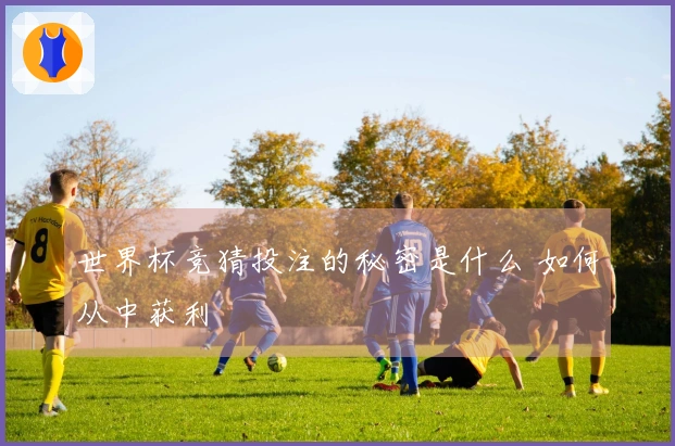 世界杯竞猜投注的秘密是什么 如何从中获利