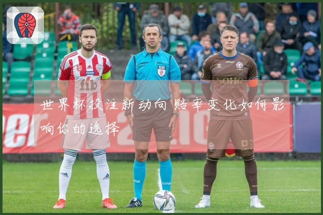 世界杯投注新动向 赔率变化如何影响你的选择