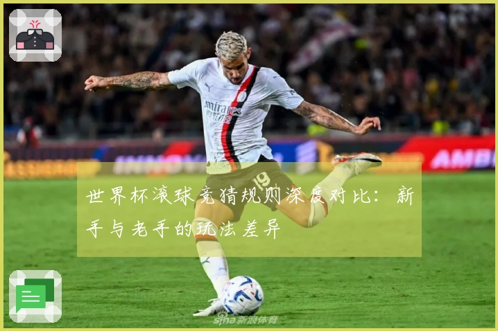 世界杯滚球竞猜规则深度对比：新手与老手的玩法差异