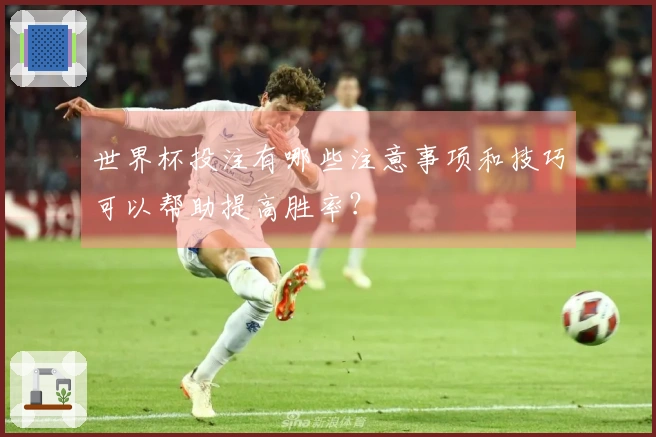 世界杯投注有哪些注意事项和技巧可以帮助提高胜率？