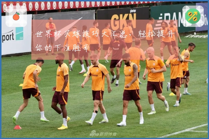 世界杯买球技巧大汇总，轻松提升你的下注胜率