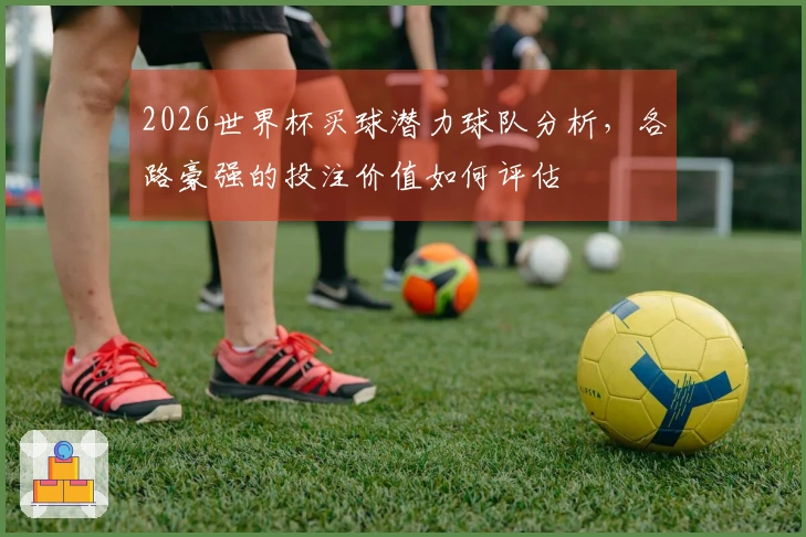 2026世界杯买球潜力球队分析，各路豪强的投注价值如何评估
