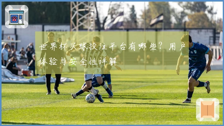 世界杯买球投注平台有哪些？用户体验与安全性详解