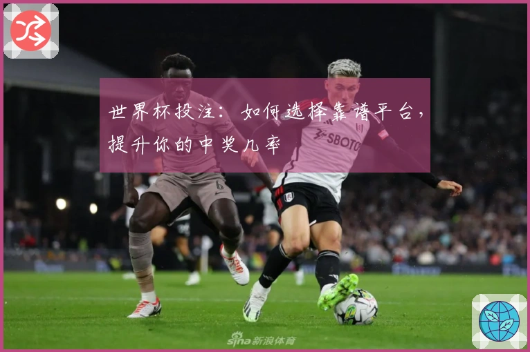 世界杯投注：如何选择靠谱平台，提升你的中奖几率
