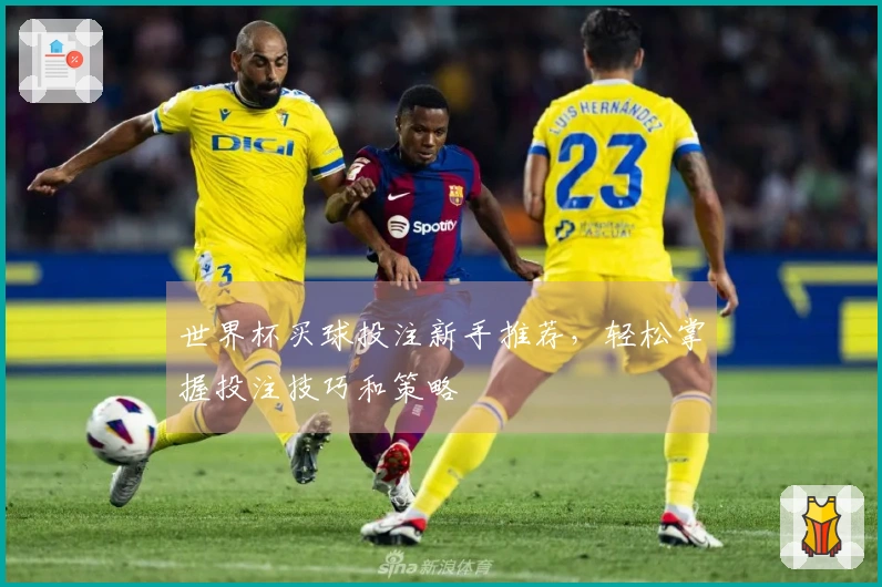 世界杯买球投注新手推荐，轻松掌握投注技巧和策略