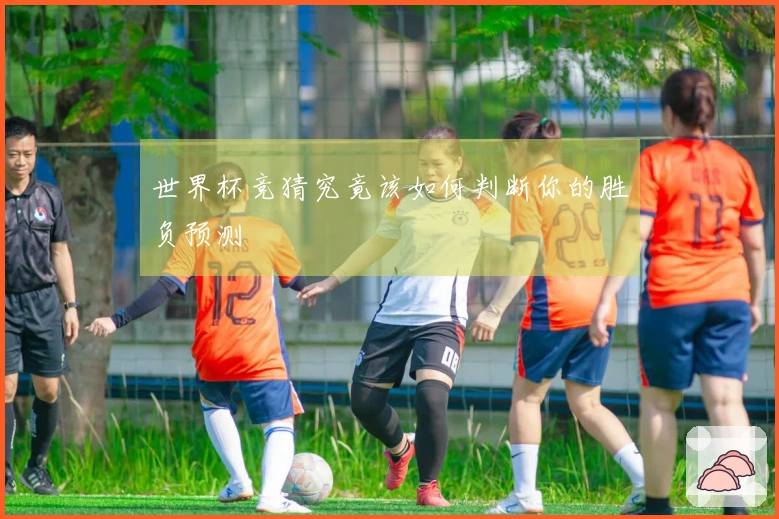 世界杯竞猜究竟该如何判断你的胜负预测