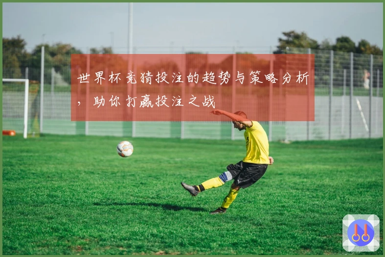 世界杯竞猜投注的趋势与策略分析，助你打赢投注之战