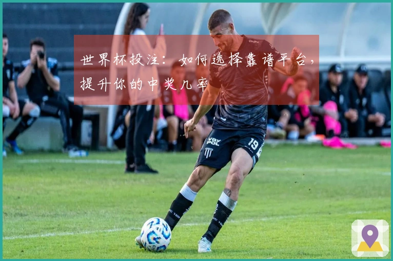 世界杯投注：如何选择靠谱平台，提升你的中奖几率