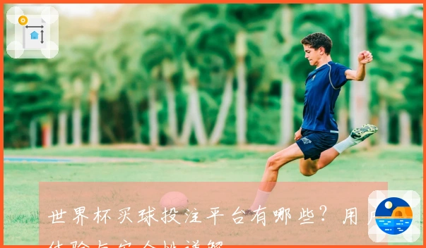 世界杯买球投注平台有哪些？用户体验与安全性详解