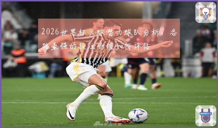 2026世界杯买球潜力球队分析，各路豪强的投注价值如何评估