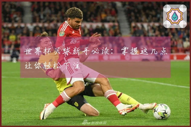 世界杯买球新手必读：掌握这几点让你轻松下注